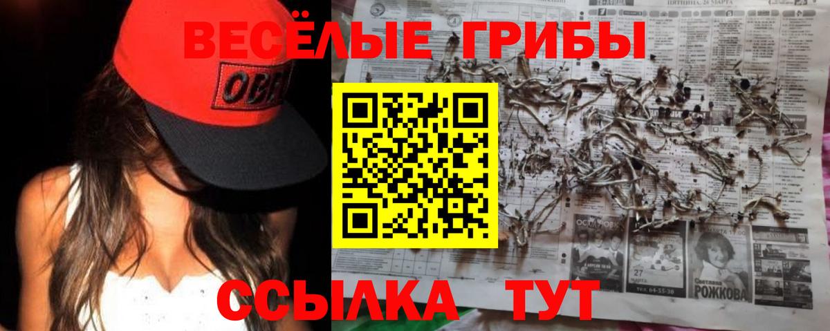 Псилоцибиновые грибы мухоморы  Галлюциногенные грибы Psilocybine cubensis  хочу наркоту  Вход с VPN  Альметьевск 