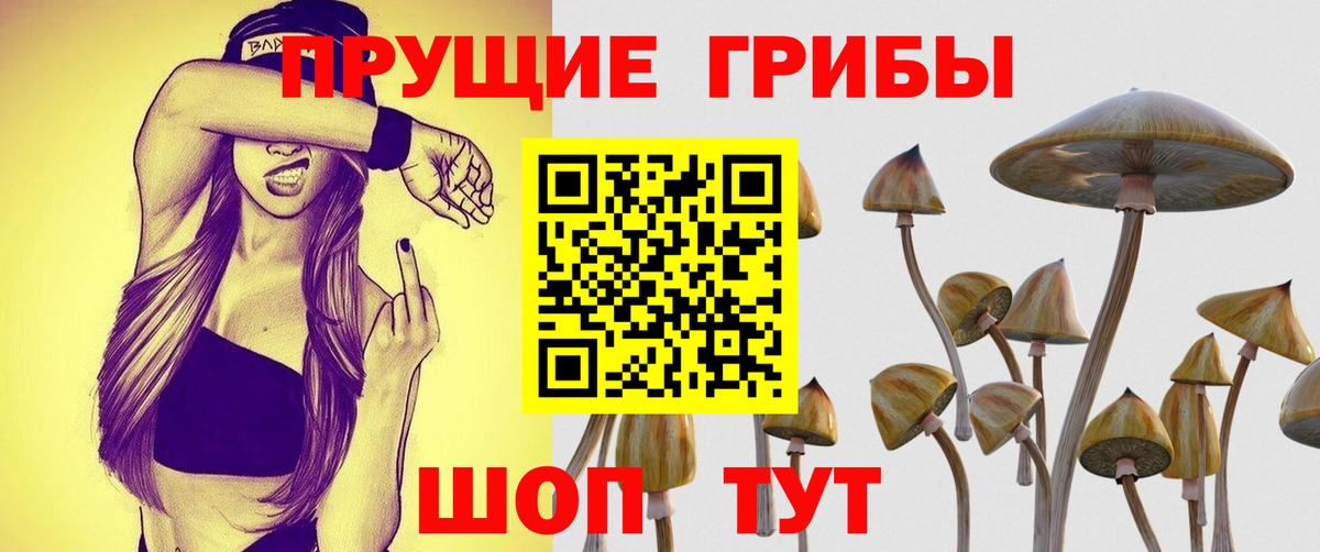 Галлюциногенные грибы Psilocybe Альметьевск