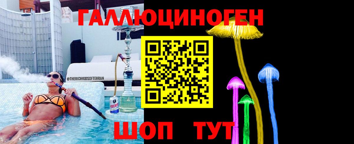 Галлюциногенные грибы Psilocybe Альметьевск